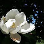Domaine Abartiague فندق مبيت وإفطار أوسْ