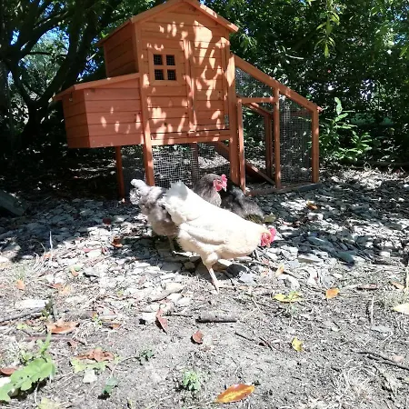 Panzió Domaine Abartiague