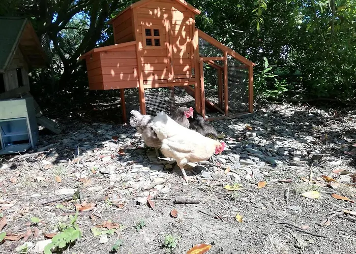 فندق مبيت وإفطار Domaine Abartiague